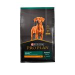 Pro Plan Puppy Large