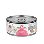 Royal Canin Lata Mother & Babycat 145 grs