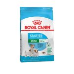 Royal Canin Starter Mini