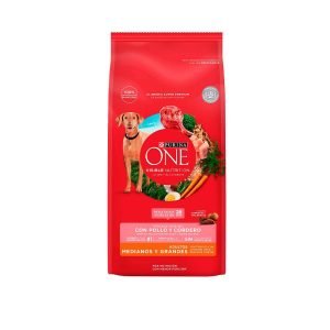 One Adulto Med/Grande Cordero