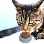 Juguete Bola Giratoria De Catnip Para Gato - Imagen 5