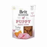 BRIT MEATY JERKY puppy coins
