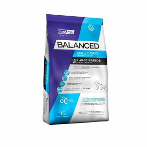 balanced adult large perro