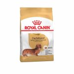 royal canin dachsund adulto