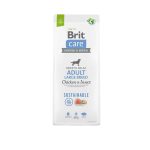 brit care adulto large chicken and insect