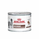 royal canin lata recovery