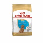 royal canin poodle puppy