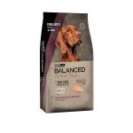 Balanced Natural Recipe Perro Pollo