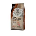 Balanced Natural Recipe Cordero Gato