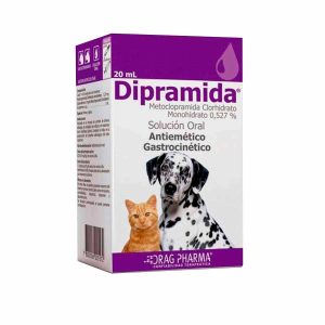 Dipramida Solución Oral 20 ml