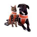 Body Cobre Post Quirurgico Perros y Gatos