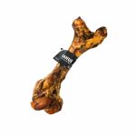 Rahue Femur de Cerdo 1 und