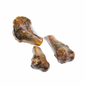 Rahue Humero Cerdo 3 und