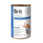 Brit Gf Vd Lata Dog + Cat Recovery 400 GR